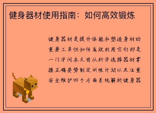 健身器材使用指南：如何高效锻炼