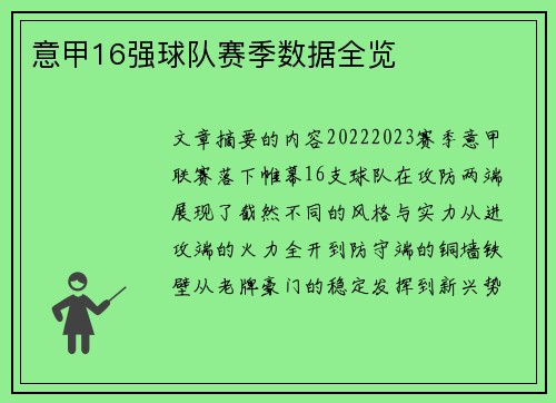 意甲16强球队赛季数据全览